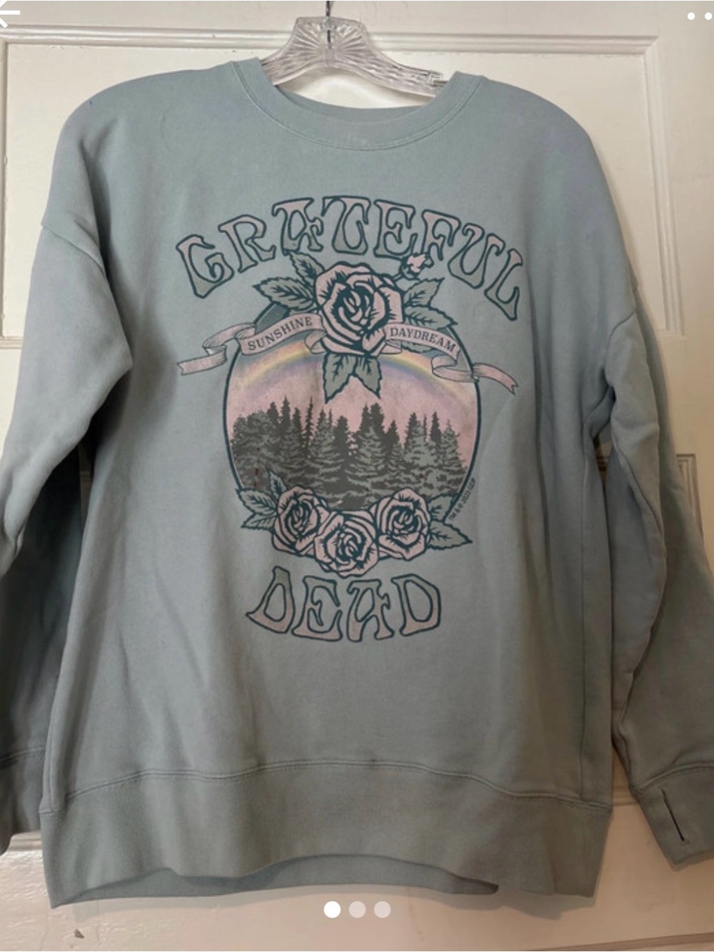 Grateful Dead Abercrombie Kids Crewneck with Pink & Green Scenic Graphic